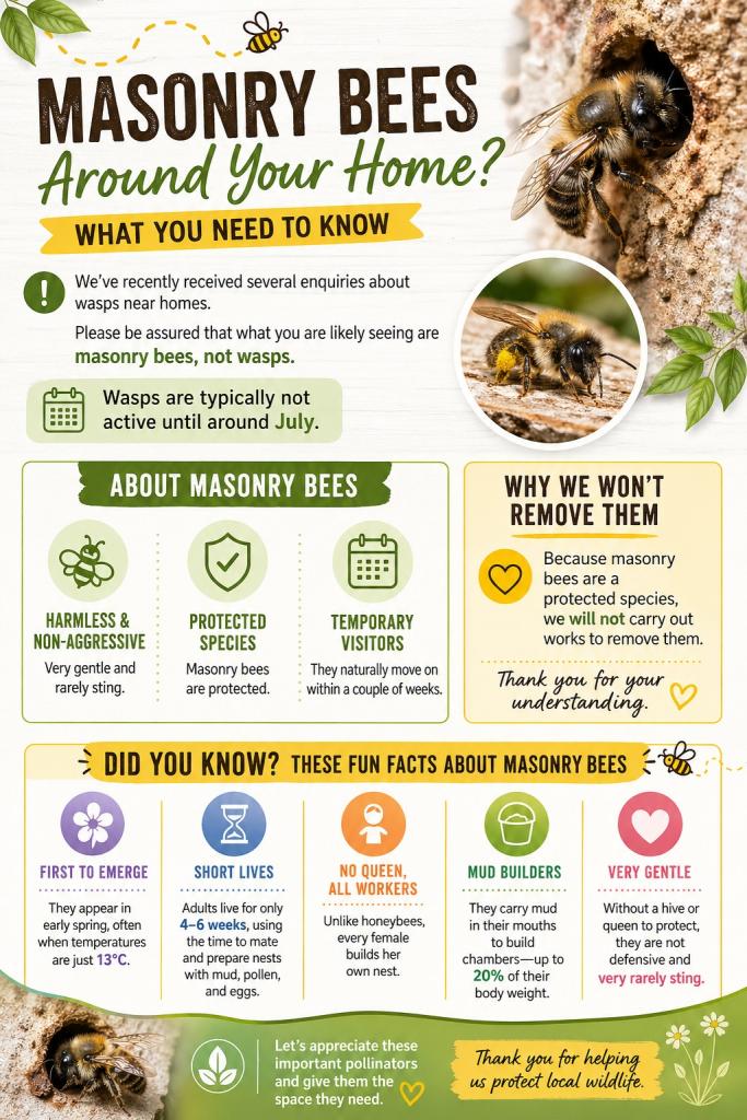 Masonry Bees Notice