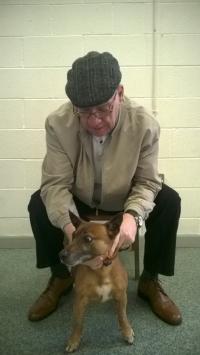 Owner with his dog at Dogs Trust Roadshow