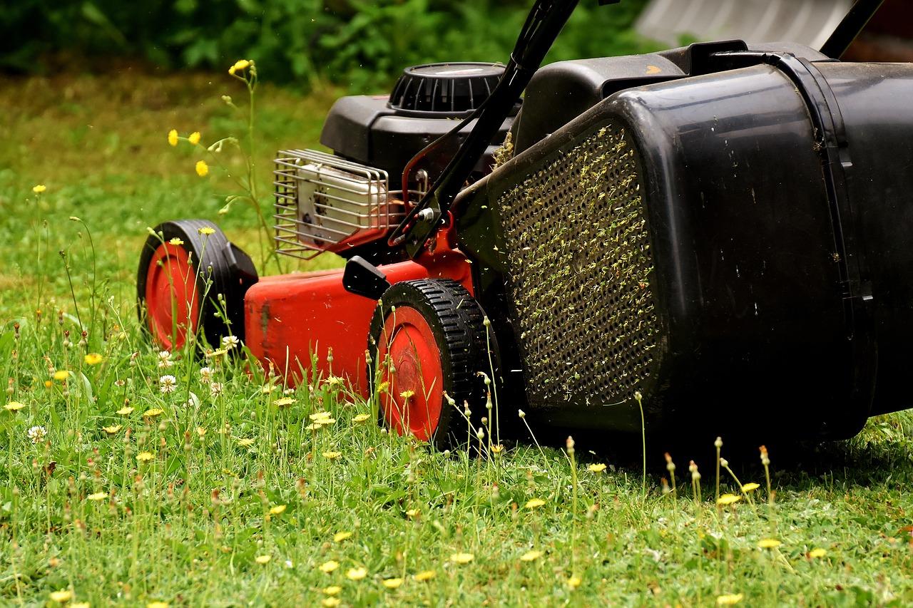 lawn-mower